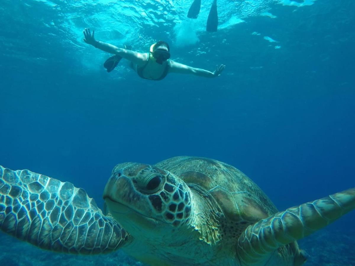 Fantastic Cottages Gili Meno Eksteriør bilde