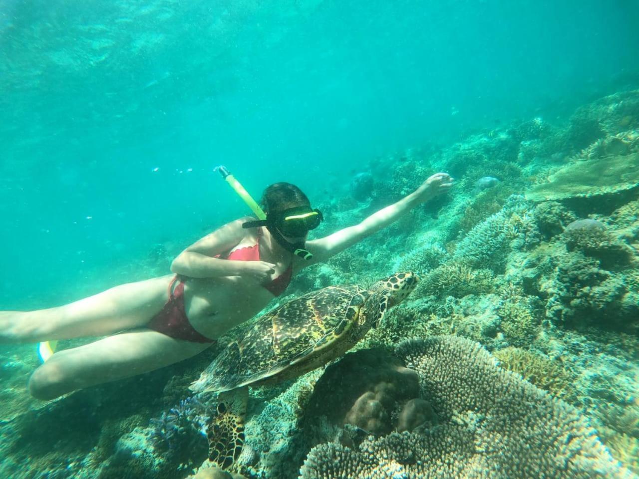Fantastic Cottages Gili Meno Eksteriør bilde