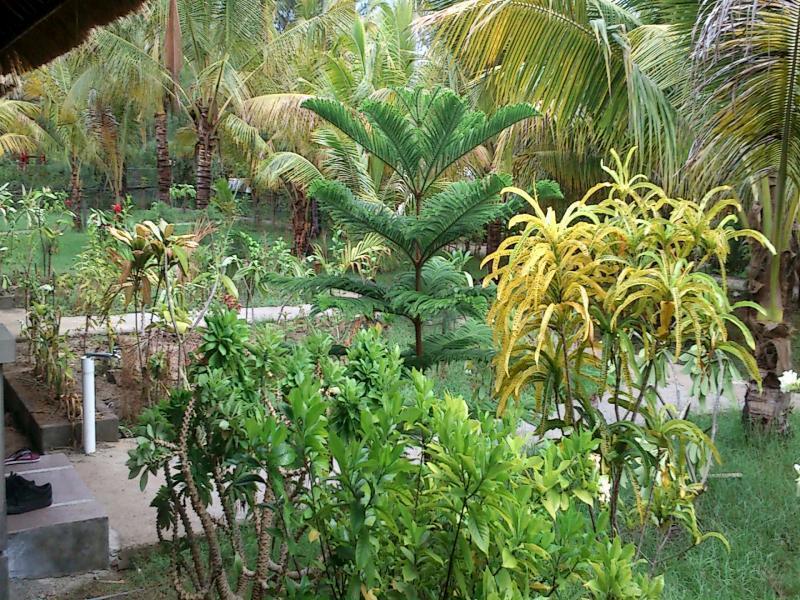 Fantastic Cottages Gili Meno Eksteriør bilde
